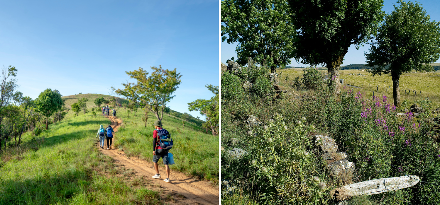 Maisons Brunel - Aubrac