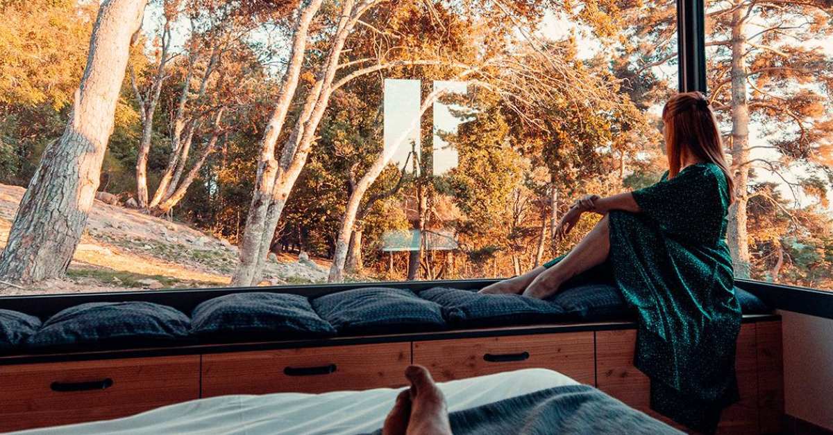 Séjour loup du Gevaudan